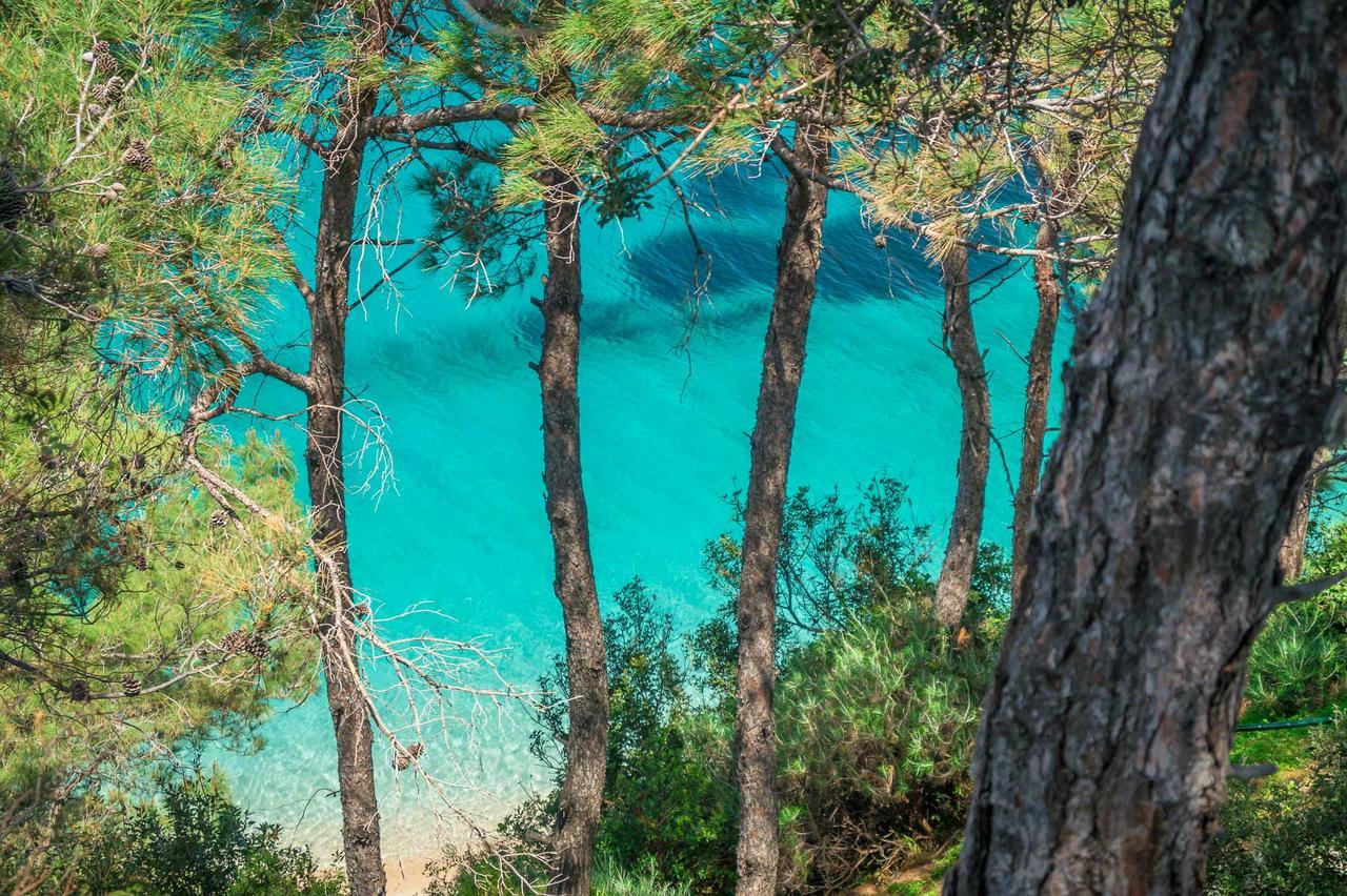 Armonia Bay Hotel Kokkari Extérieur photo